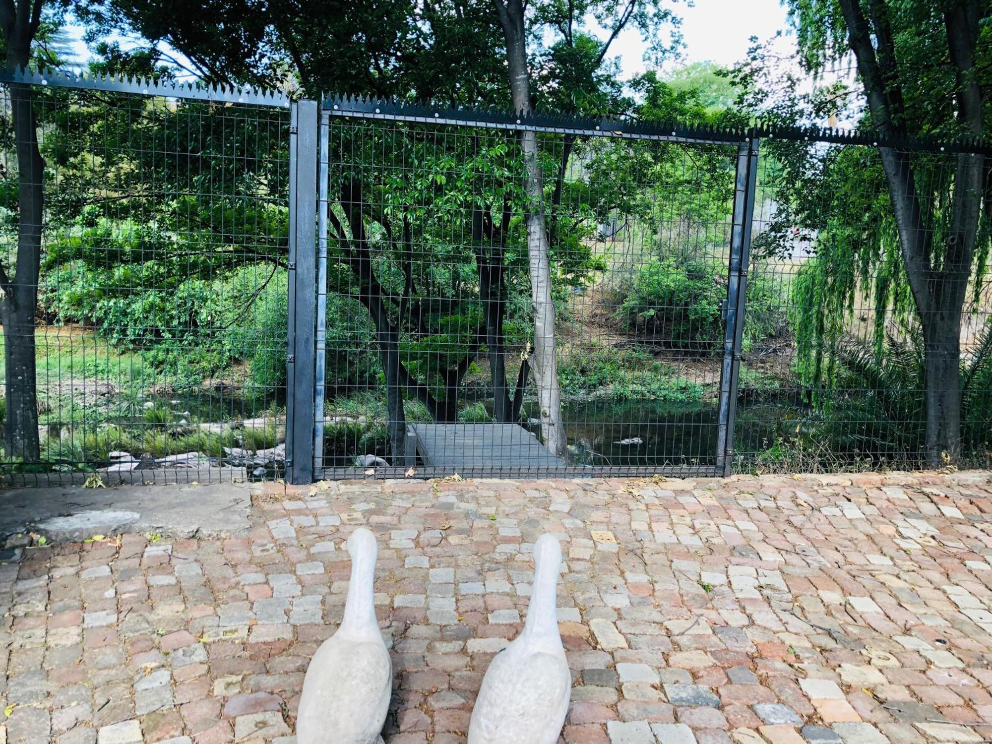 Sand River Guest House Johannesburg Bagian luar foto