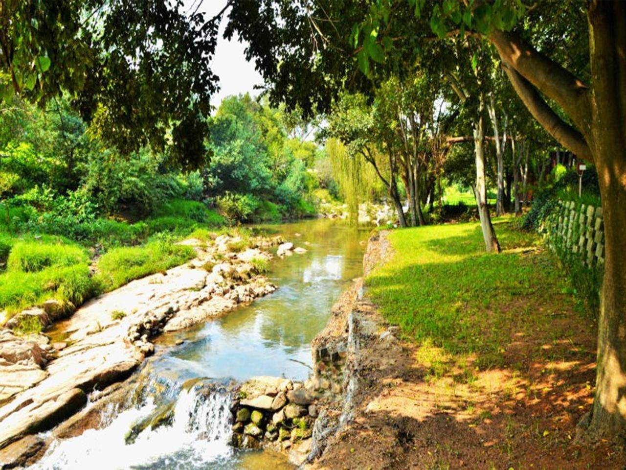 Sand River Guest House Johannesburg Bagian luar foto